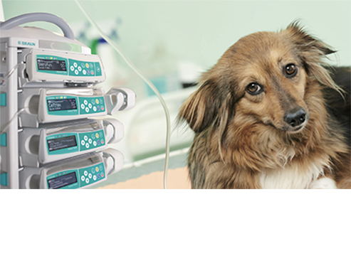 Bedroom Silverstrike